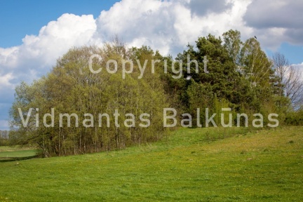 V.Balkunas-8500