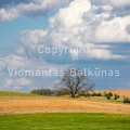V.Balkunas-8502