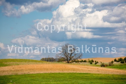 V.Balkunas-8502