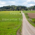 V.Balkunas-8509
