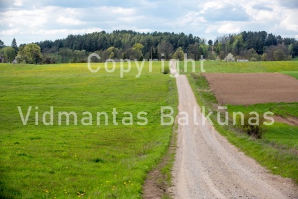 V.Balkunas-8509
