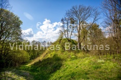 V.Balkunas-8559