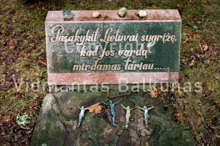 V.Balkuno nuotr. -4971