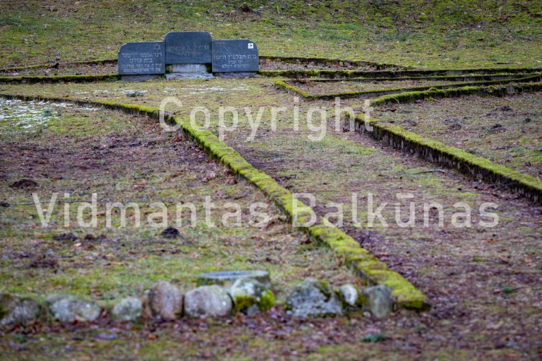 V.Balkuno nuotr. -5091