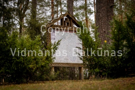 V.Balkuno nuotr. -5108