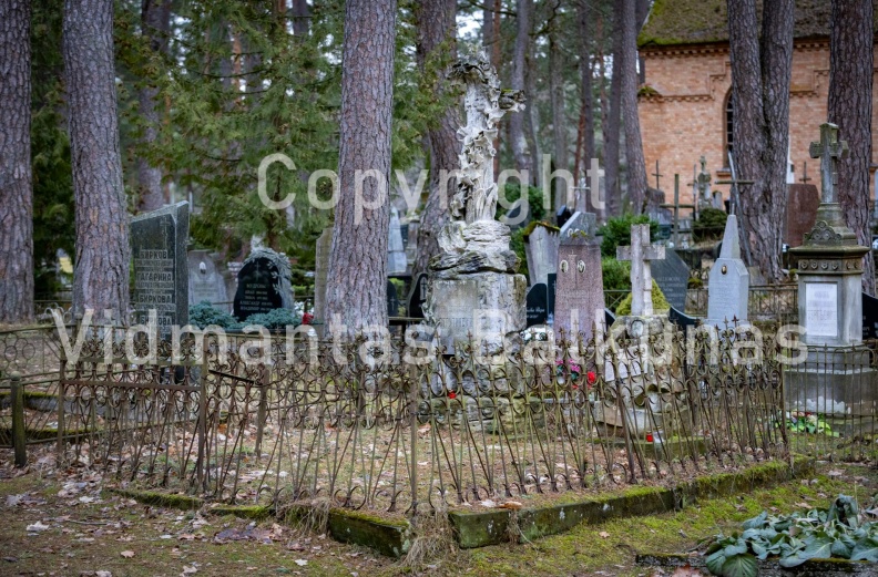 V.Balkuno_nuotr._-5333.jpg