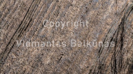 V.Balkuno nuotr. --2