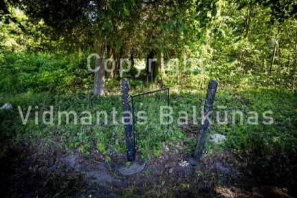 BALK5981-2