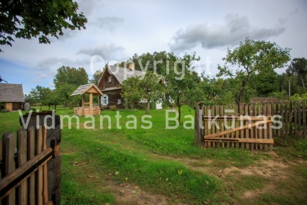 V.Balkuno nuotr. 937A3143