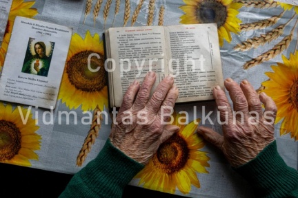 V.Balkuno nuotr. -8276