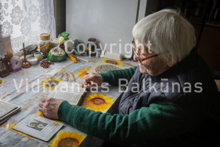 V.Balkuno nuotr. -8283