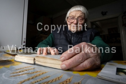 V.Balkuno nuotr. -8286