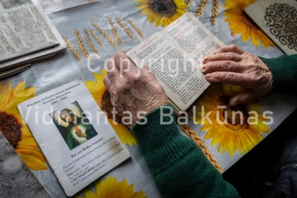 V.Balkuno nuotr. -8291