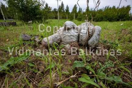 V.Balkuno nuotr. -0872