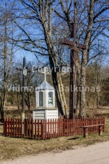 V.Balkuno nuotr. -1019