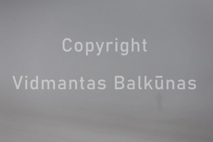 V.Balkuno nuotr. -6094