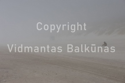 V.Balkuno nuotr. -6099