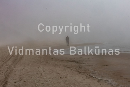 V.Balkuno nuotr. -6104