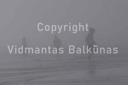V.Balkuno nuotr. -6283
