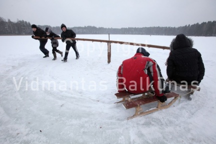 balkunas 10629794