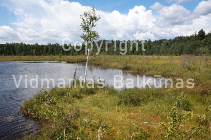 IMG 0899