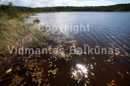 IMG 0902