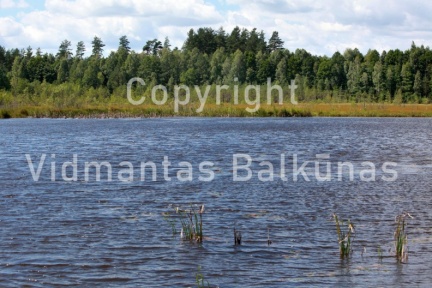 IMG 0906