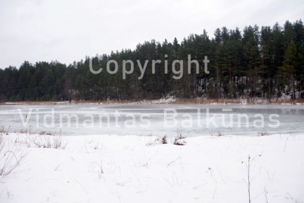 IMG 4870