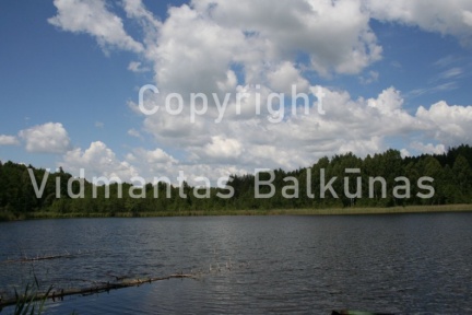 Voniskiu piliakalnio paieska  020